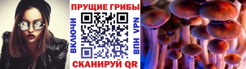 Галлюциногенные грибы Magic Shrooms  Саранск 