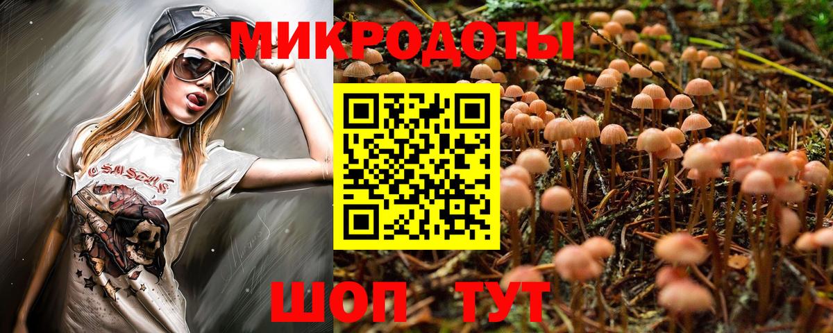 Саранск  Галлюциногенные грибы Cubensis  Вход с VPN 